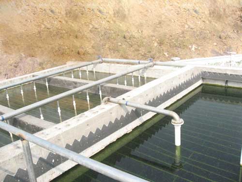 1597981199185102.jpg 1.jpg